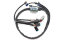 Complete EFI Harness - chevrolet corvette parts